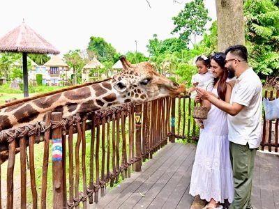 Elephant Ride, Mudfun, Breakfast orang utan